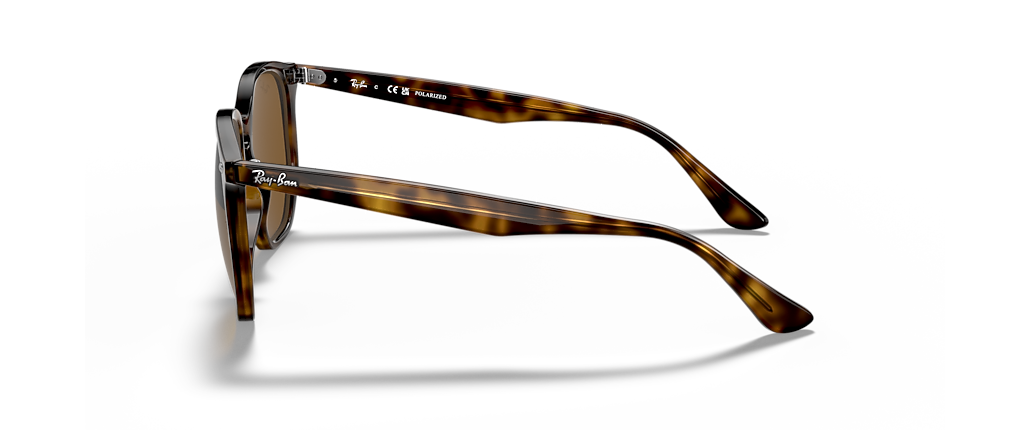 Ray-Ban RB4306 Light Havana Sunglasses