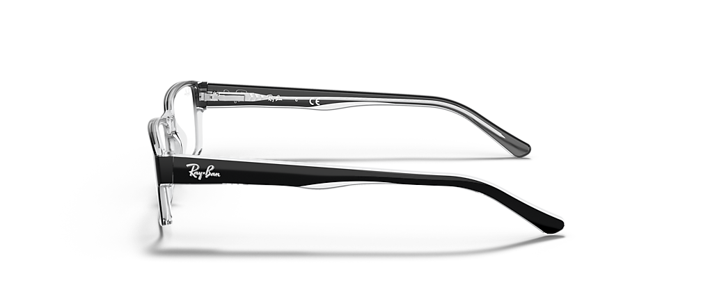 Ray-Ban RB5169 Optics Black On Transparent Frames