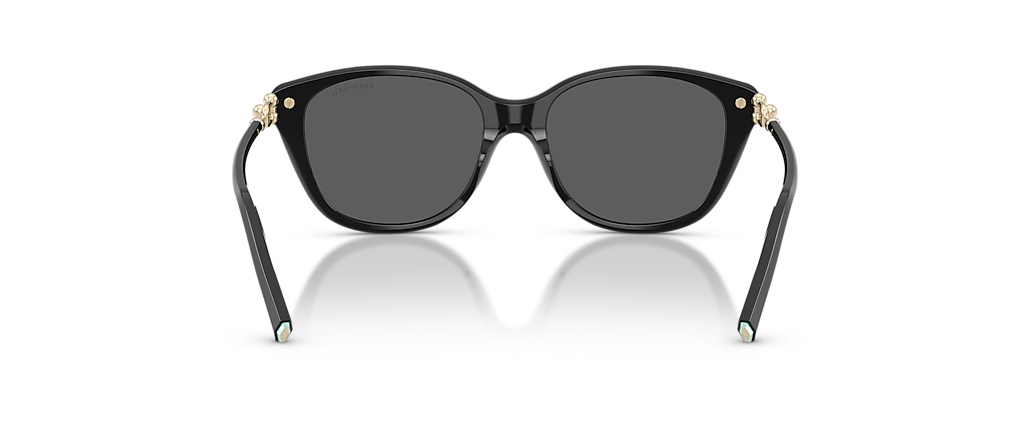 Tiffany & Co. TF4267 Black Sunglasses