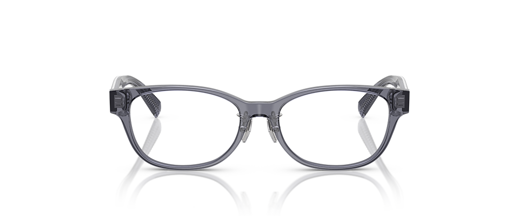 Tiffany & Co. TF2263D Crystal Dark Violet Frames