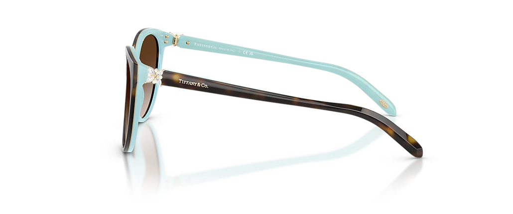 Tiffany & Co. TF4089B Havana On Tiffany Blue Sunglasses