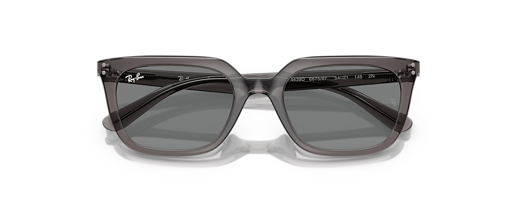 Ray-Ban RB4439D Transparent Grey Sunglasses