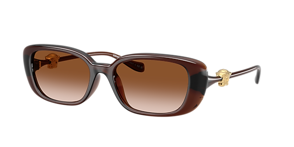 Versace VE4504D