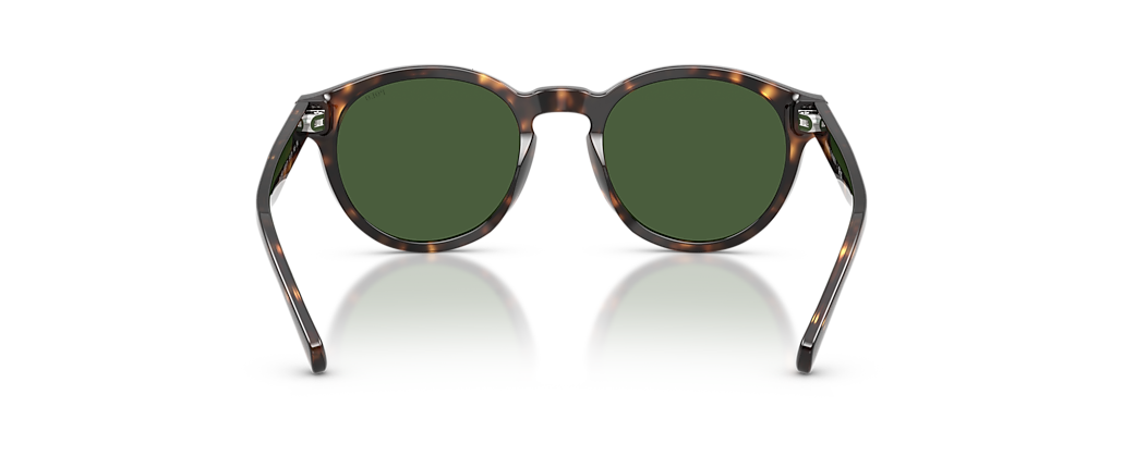 Polo Ralph Lauren PH4192 Shiny Dark Havana Sunglasses