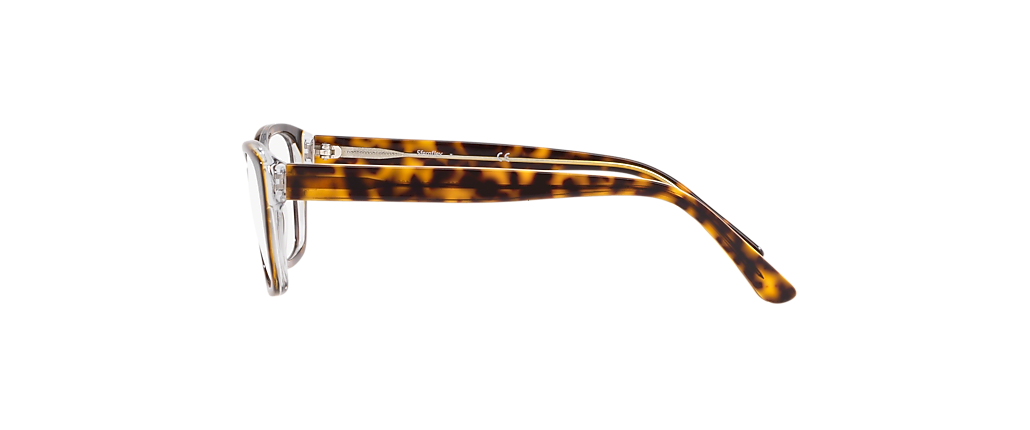 Sferoflex SF1575 Havana On Transparent Frames