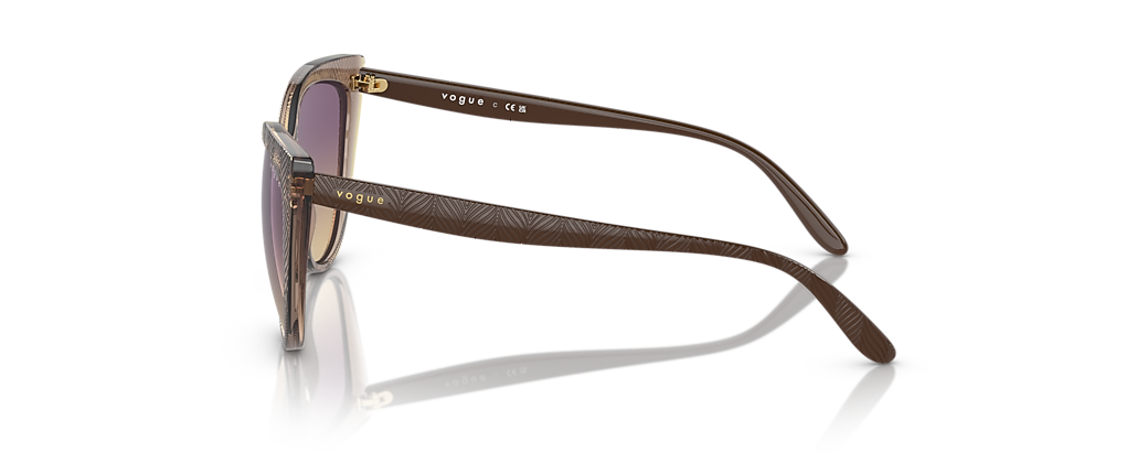 Vogue Eyewear VO5484S Transparent Brown Sunglasses