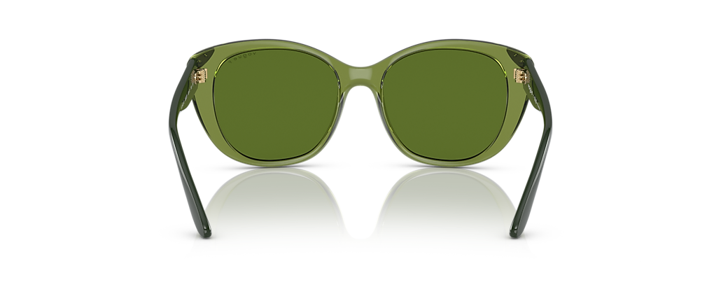 Vogue Eyewear VO5457S Transparent Green Sunglasses