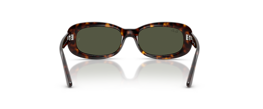 Ray-Ban RB2221F Havana Sunglasses