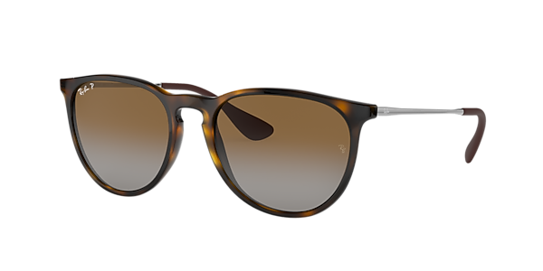 Ray-Ban RB4171F Erika Classic