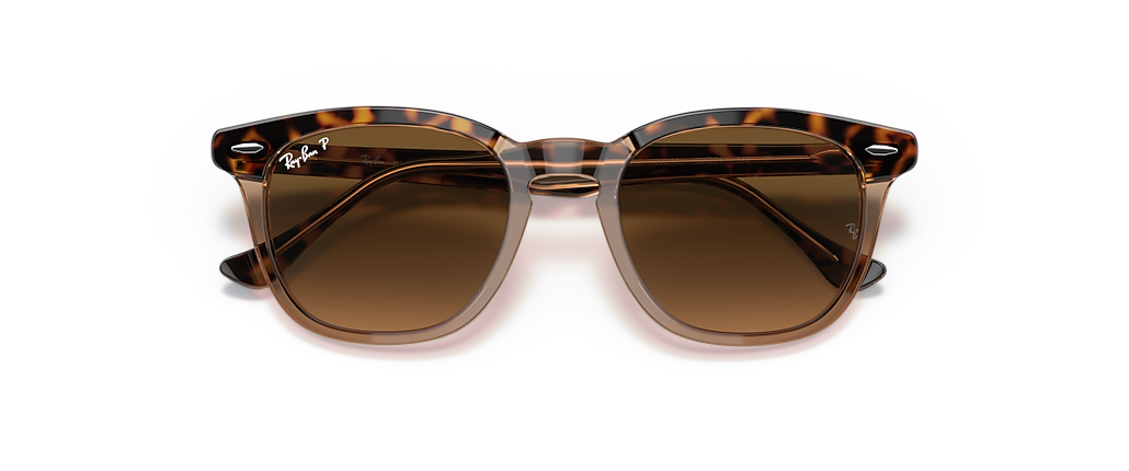 Ray-Ban RB2298 Hawkeye Havana On Transparent Brown Sunglasses