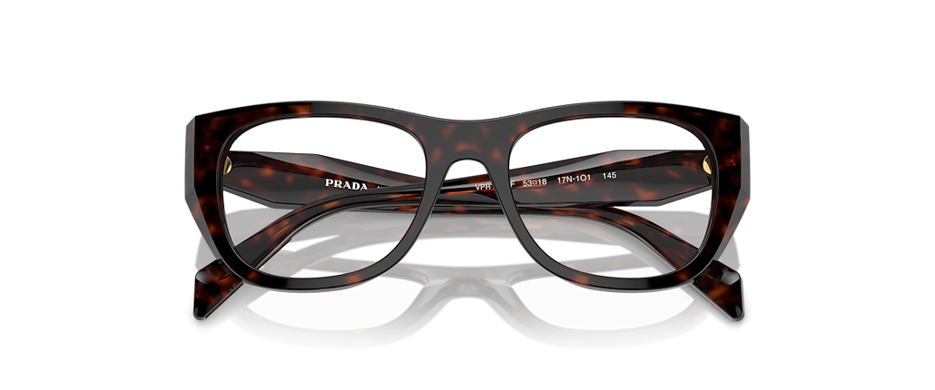 Prada PR A18VF Root Tortoise Frames