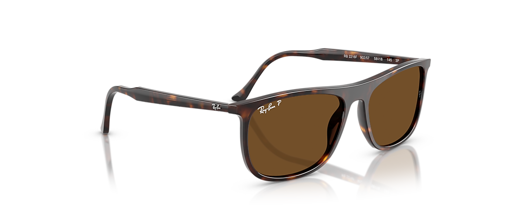 Ray-Ban RB2216F Havana Sunglasses