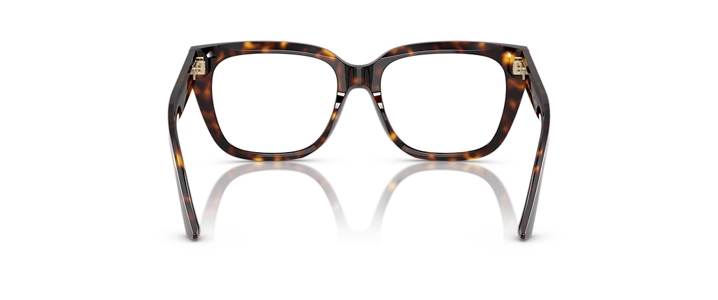 Jimmy Choo JC3019B Havana Frames