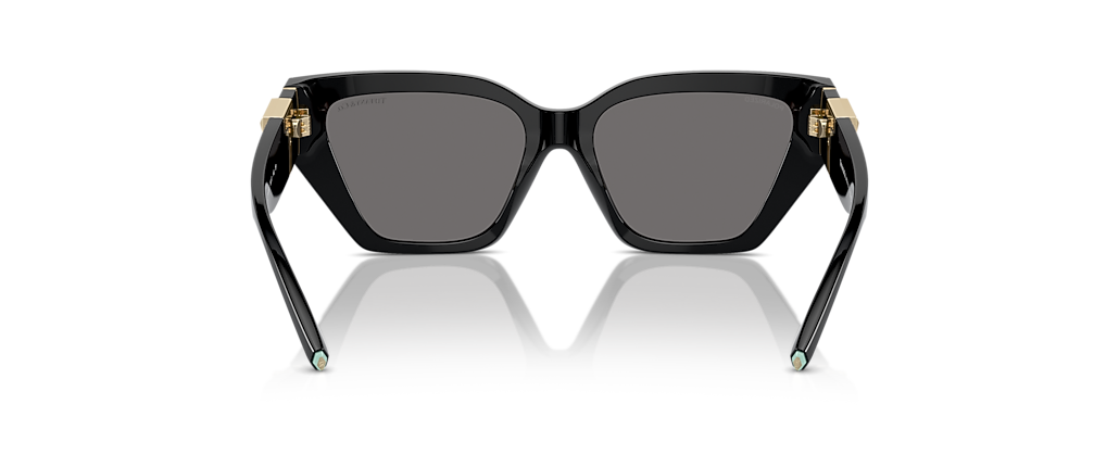 Tiffany & Co. TF4218 Black Sunglasses
