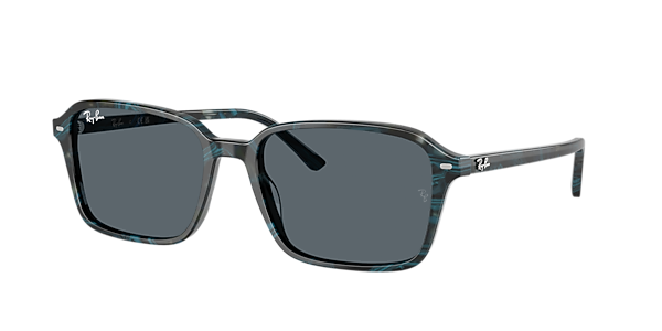 Ray-Ban RB2231 Raimond