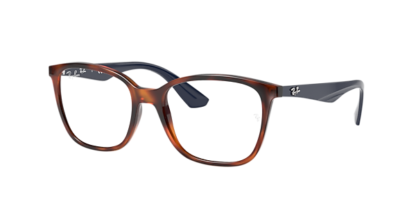 Ray-Ban RB7066 Optics