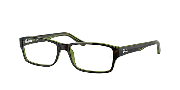 Ray-Ban RB5169 Optics