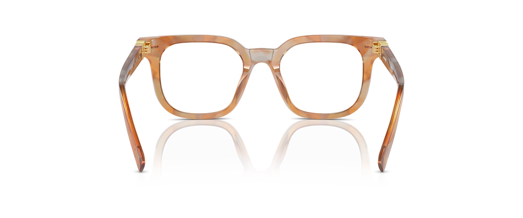 Miu Miu MU 06XVF Havana Cream Frames