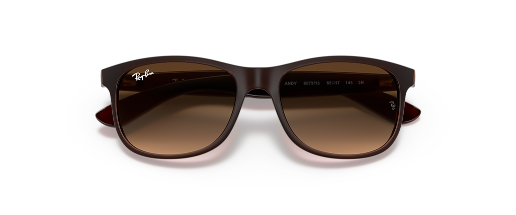 Ray-Ban RB4202 Andy Brown Sunglasses