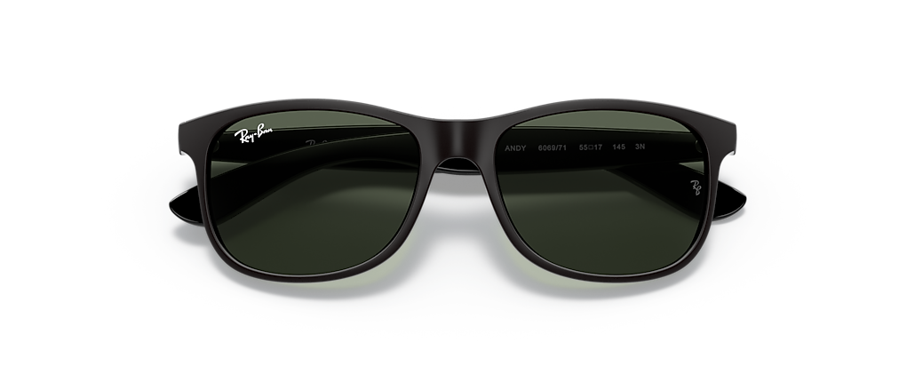 Ray-Ban RB4202 Andy Black Sunglasses