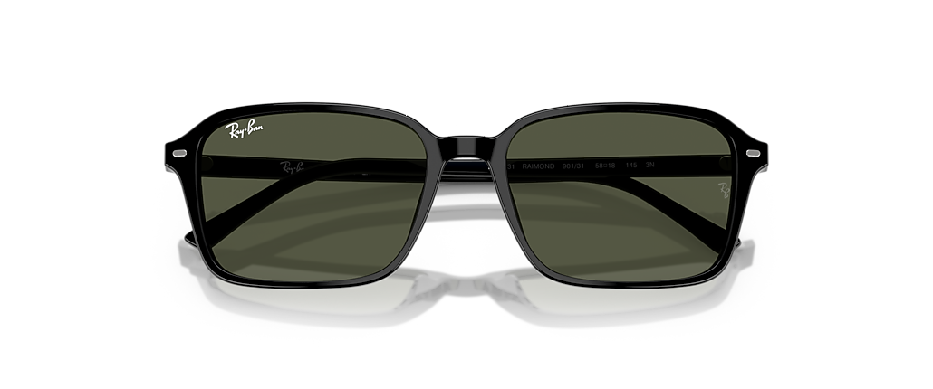 Ray-Ban RB2231 Raimond Black Sunglasses