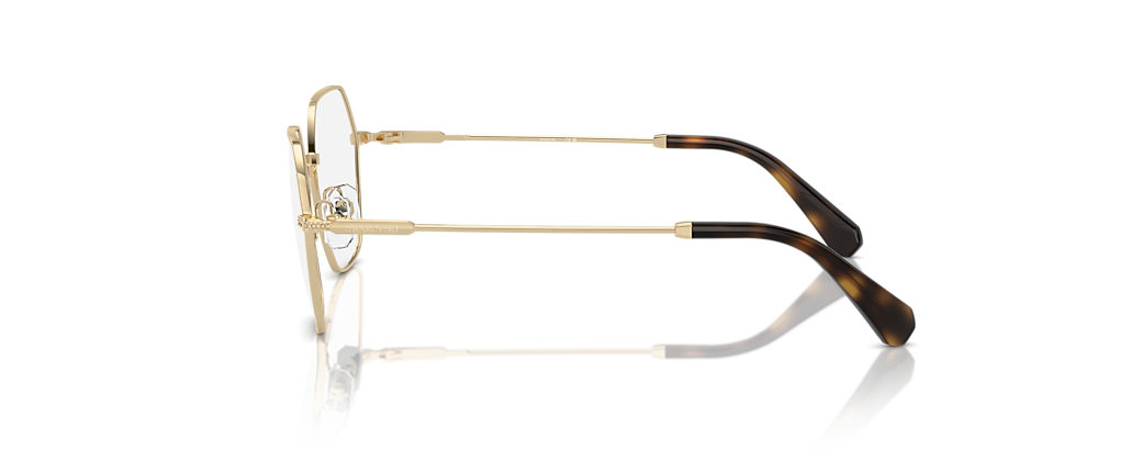 Swarovski SK1011 Pale Gold Frames
