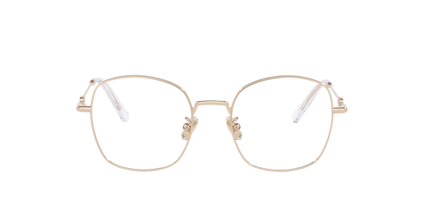 DIOR Petit Cdo S1U