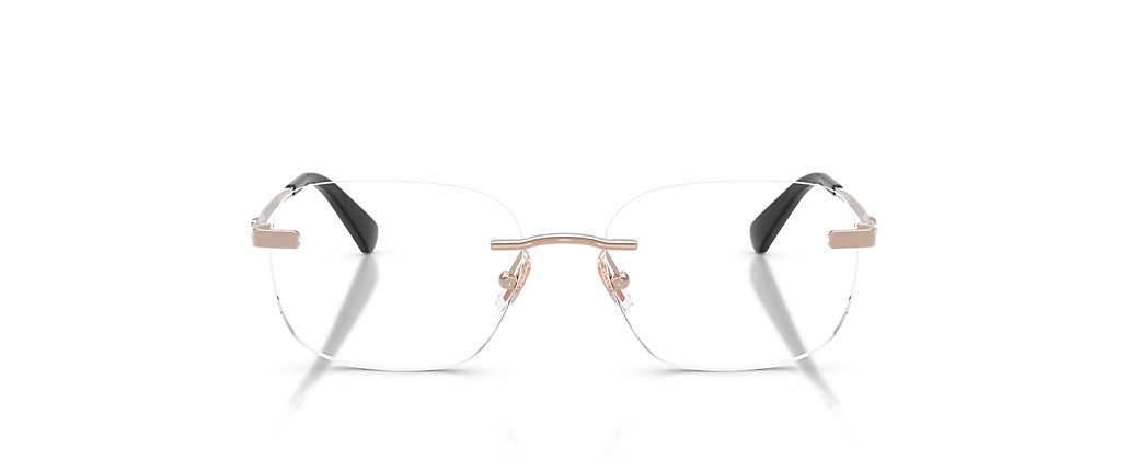 Coach HC5206D Vintage Rose Gold Frames