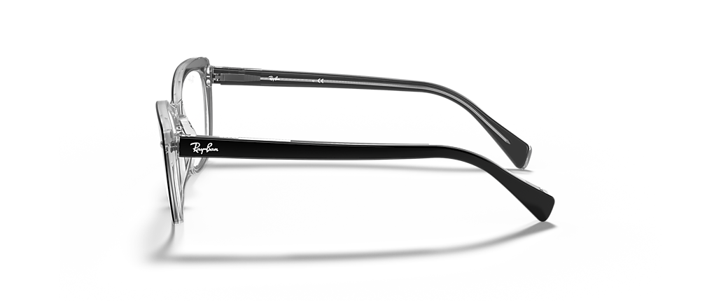Ray-Ban RB5366 Optics Black On Transparent Frames