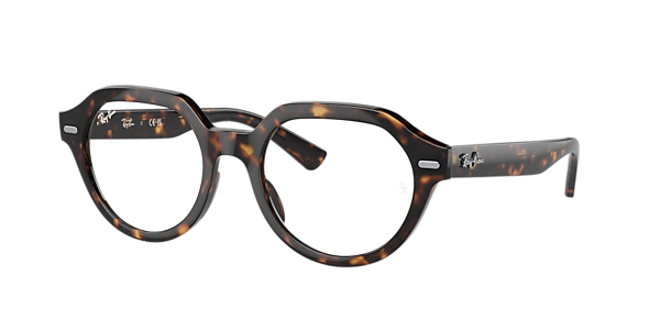 Ray-Ban RB7214 Gina Optics