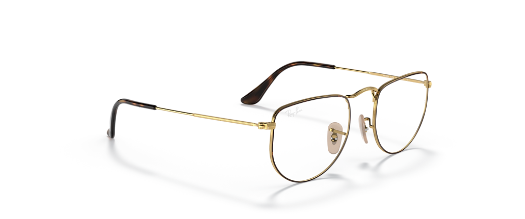 Ray-Ban RB3958V Elon Optics Limited Edition Havana on Gold Frames