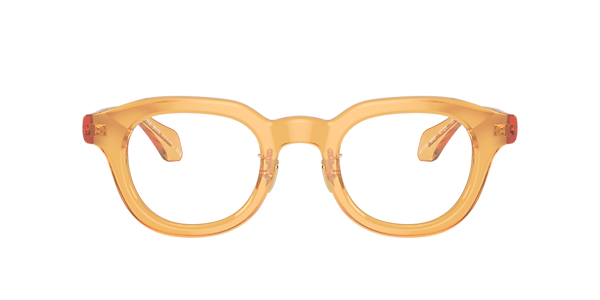 Giorgio Armani AR7253