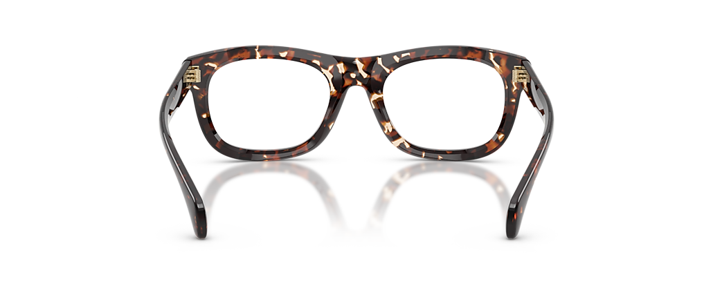 Moncler ME2040 Meteore Shiny Butter Havana Frames