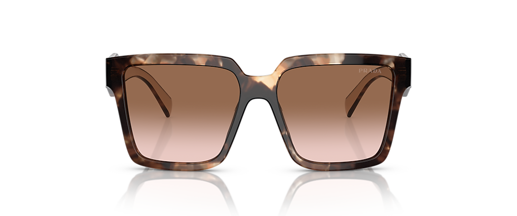 Prada PR 24ZSF Caramel Tortoise Sunglasses