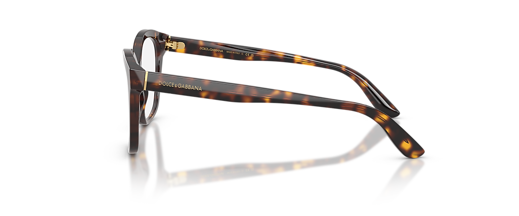Dolce&Gabbana DG3451 Havana Frames