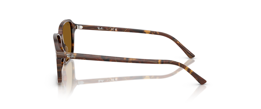 Ray-Ban RB2231 Raimond Transparent Fantasy Brown Sunglasses