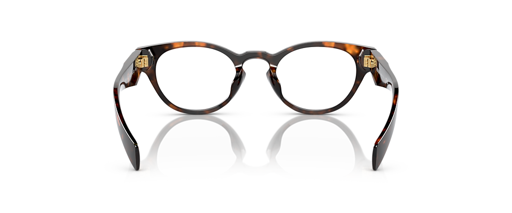 Prada PR A11VD Honey Tortoise Frames