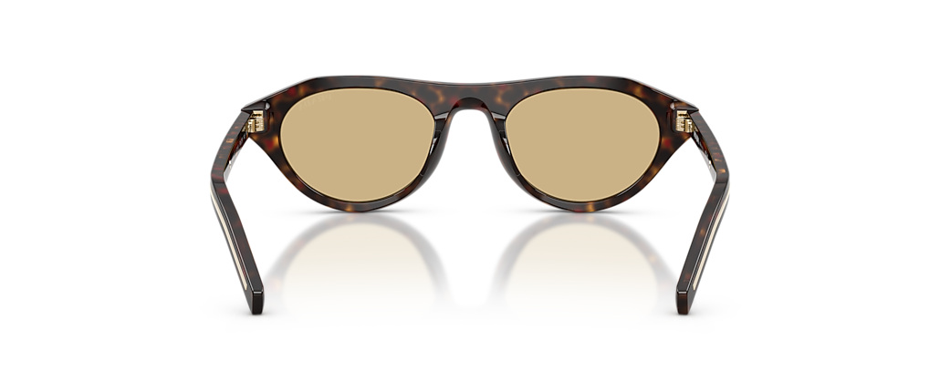 Prada PR B15SF Root Tortoise Sunglasses