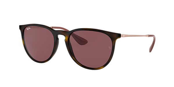 Ray-Ban RB4171 Erika Color Mix