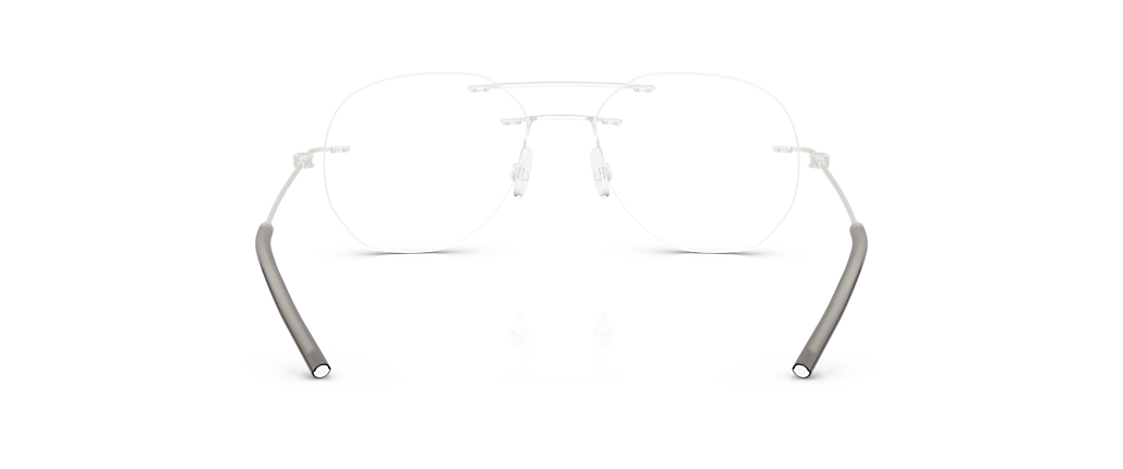 Moncler ME1003 Matte Silver Frames