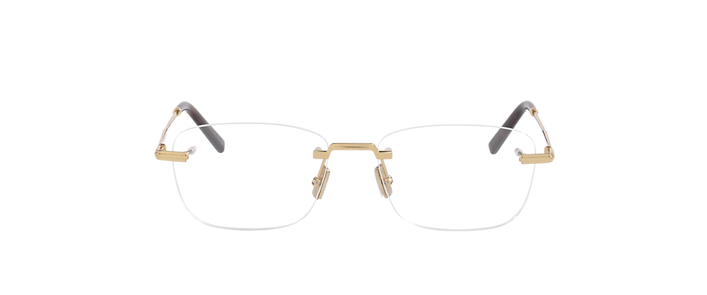 DIOR Diorblacksuito S27U Gold Frames