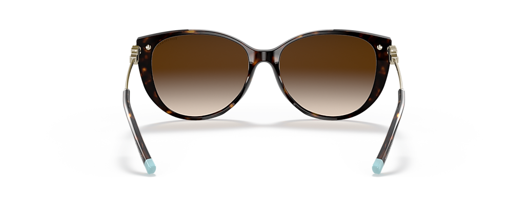 Tiffany & Co. TF4178F Havana Sunglasses