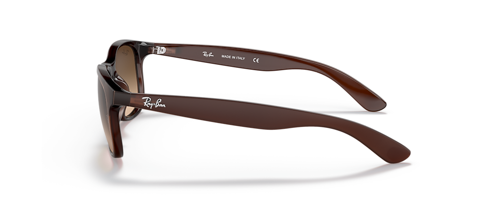 Ray-Ban RB4202 Andy Brown Sunglasses