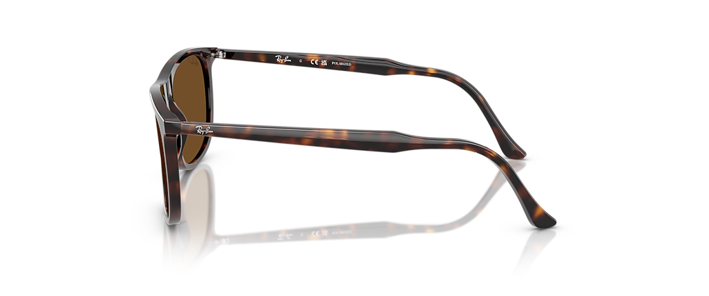 Ray-Ban RB2216F Havana Sunglasses
