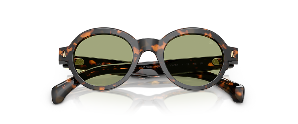 Moncler ME6003F Rondosa Brown Green Havana Sunglasses