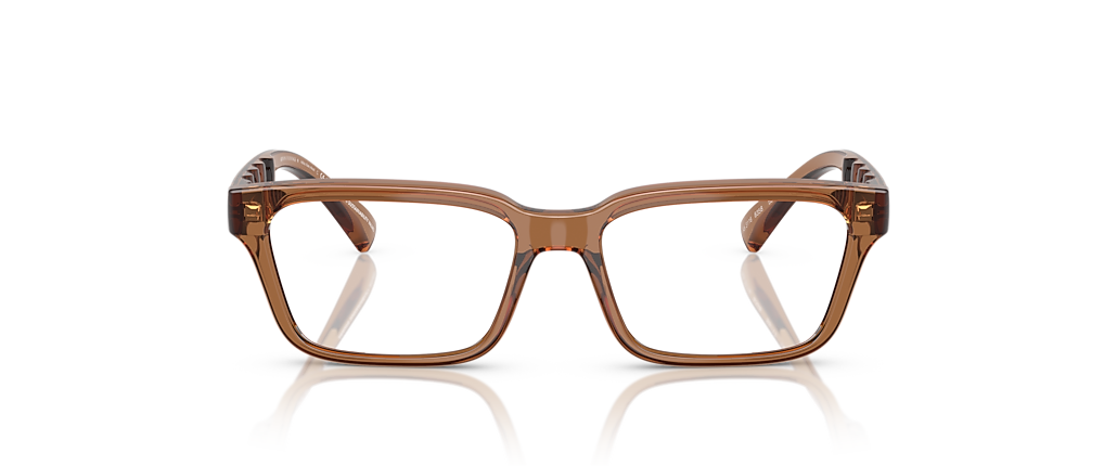 Armani Exchange AX3116 Shiny Transparent Brown Frames