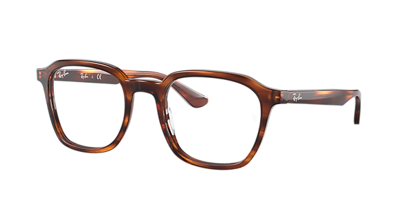 Ray-Ban RB5390 Optics