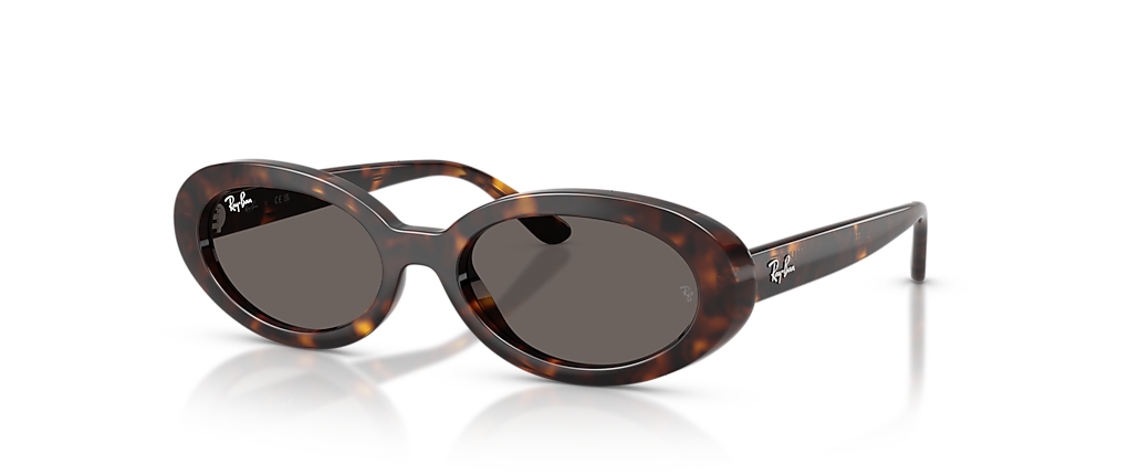 Ray-Ban RB2223F Havana Sunglasses