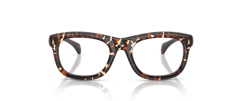 Moncler ME2040 Meteore Shiny Butter Havana Frames