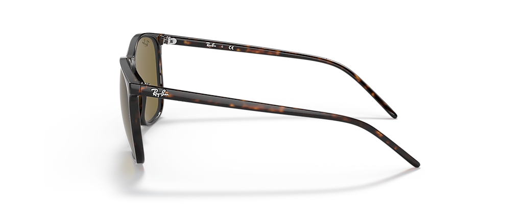 Ray-Ban RB4387F Tortoise Sunglasses